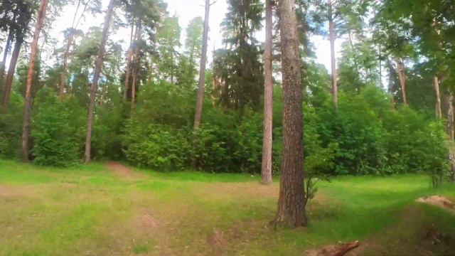 наш июнь. один из хороших дней в Кинешме смотреть онлайн