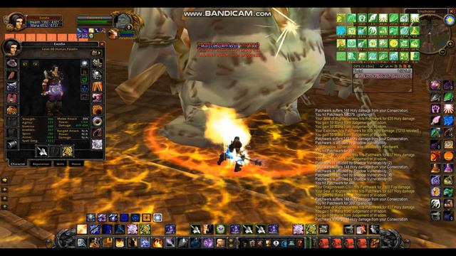 1650 DPS PALADIN CLASSIC WOW смотреть онлайн