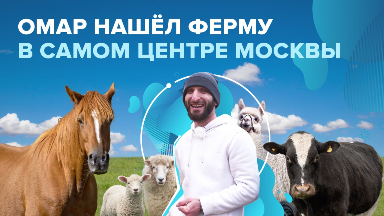 Ферма в центре Москвы! | Омар в Большом городе смотреть онлайн