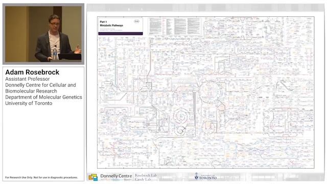A Robust LC-QQQ Metabolomics Platform for Polar Metabolite Profiling смотреть онлайн