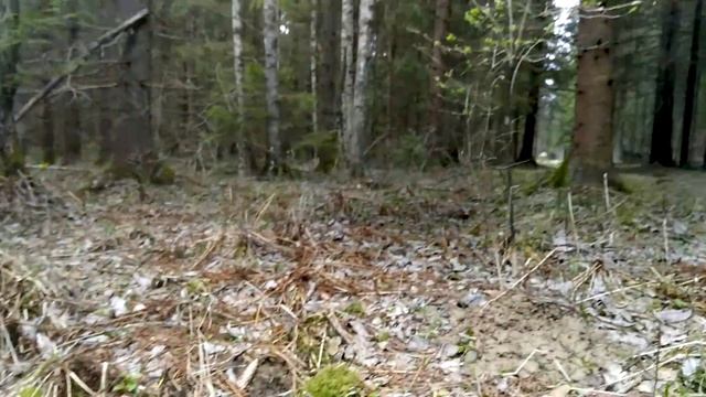 Журавль в небе или строчок в руке? смотреть онлайн