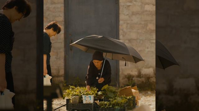 Рынок -  главное место Streetlife у жителей города Гал