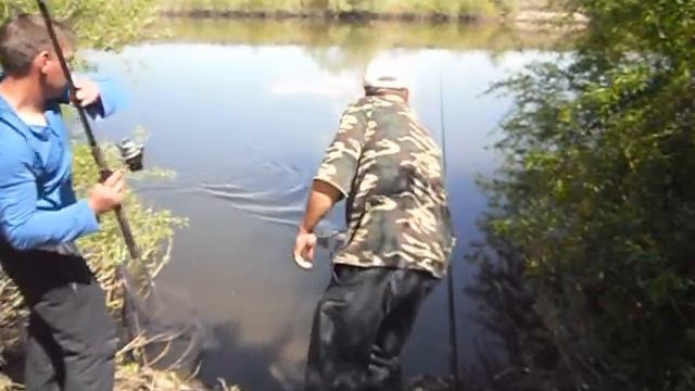 ловим карася на дендробену на плотине. смотреть онлайн