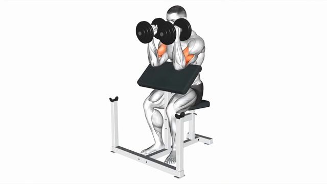 3 Best Exercises For Forearms | Home смотреть онлайн