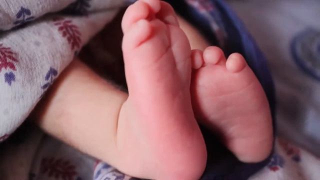 Звуки пения птиц для малышей от 0 месяцев до года. Успокаивающая. Для сна смотреть онлайн