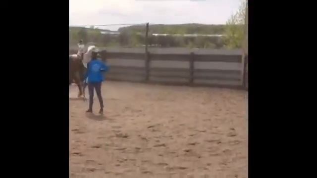 Этапы моего развития/верховая езда смотреть онлайн