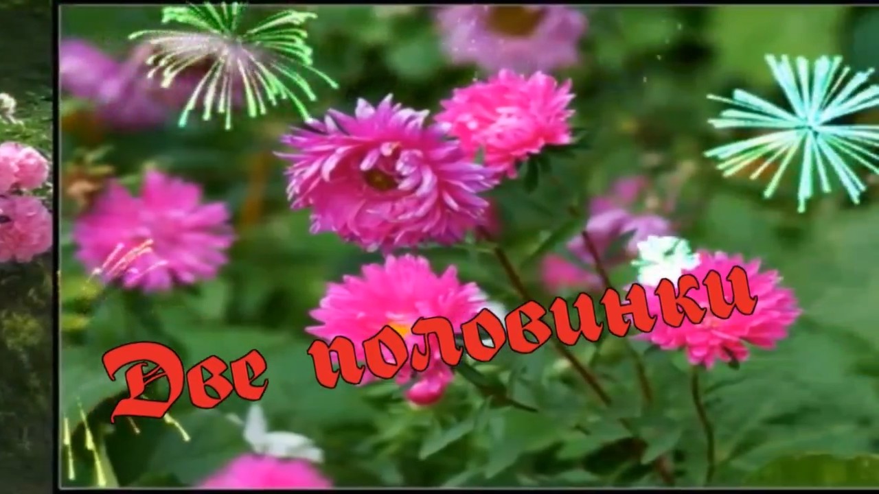 Сёстры Толмачевы-Две половинки.mp4 смотреть онлайн