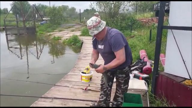 Поимки осетра на 1 секторе!!!!!Клевое место. д Савельево смотреть онлайн