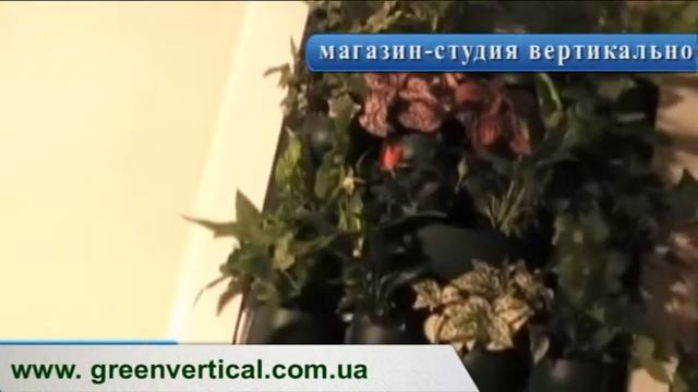 Установка, монтаж и полив панели ЖИВАЯ СТЕНА смотреть онлайн