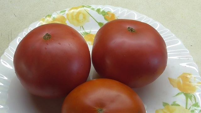 ТОМАТ ЧУДО ЗЕМЛИ - КАКОЙ ОН? смотреть онлайн