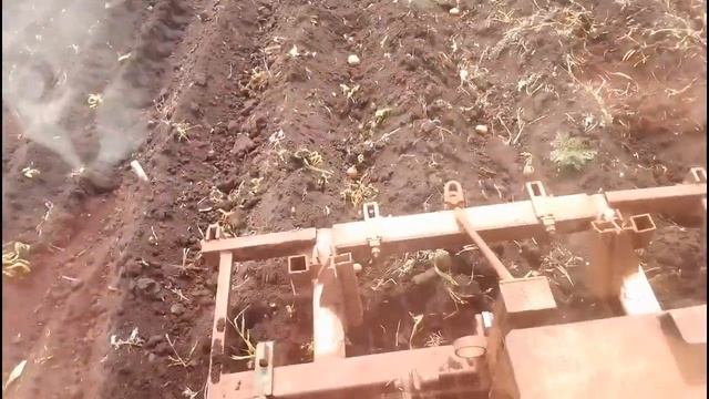 Посадили огород смотреть онлайн