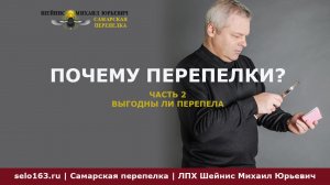 Почему перепелки часть 2. Выгодны ли перепела