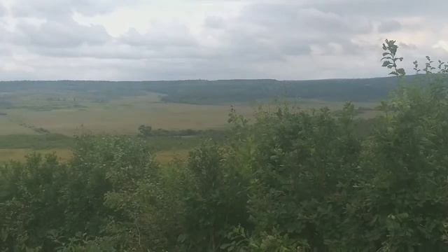 Природа. красота Амурской области. Тайга лес природа сопки красота. Амурская область смотреть онлайн