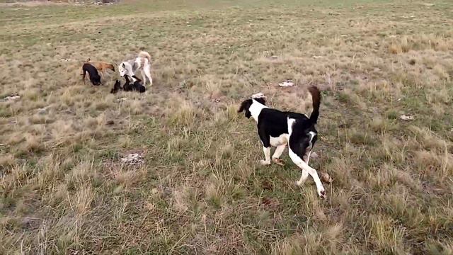 Джайляу Уланский район 17 Сентября 20120г.