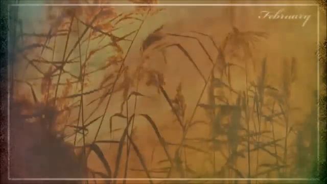 Ольга Павенская - Я жду тебя смотреть онлайн