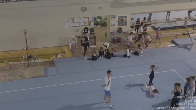 Европейский Центр Гимнастики смотреть онлайн