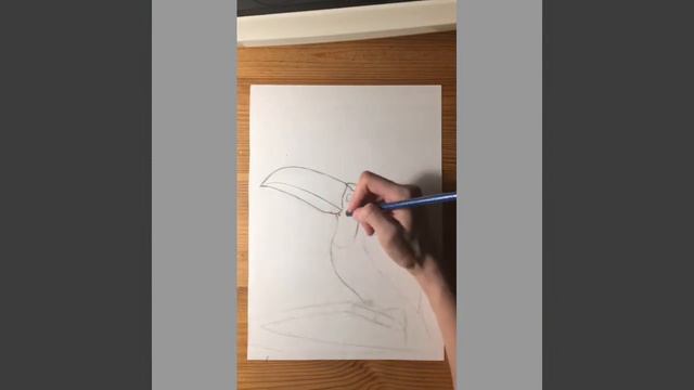 Тукан. Построение. смотреть онлайн