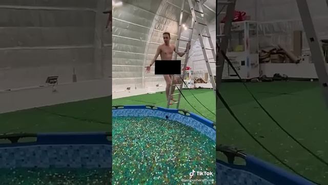 ПУШЕР КУПАЕТСЯ В БАССЕЙНЕ С ОРБИЗАМИ!?? смотреть онлайн