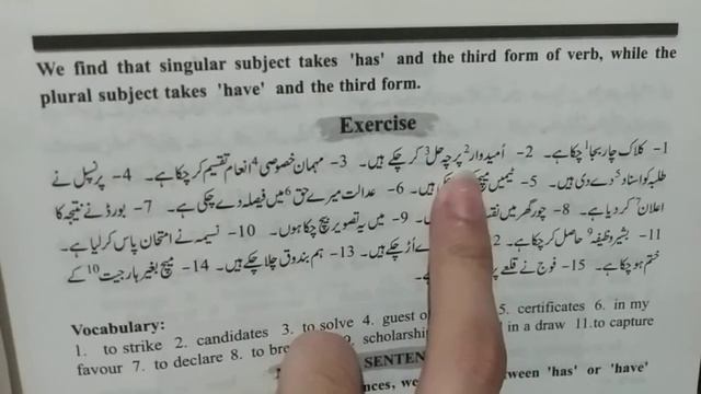 Present Perfect Tense смотреть онлайн