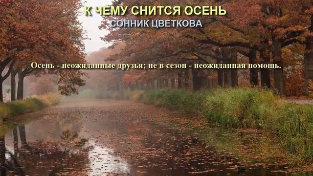 К чему снится осень. Сонник Цветкова. Толкование снов. смотреть онлайн