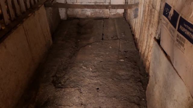 Теперь КУРЯТНИК точно закончен. Узнал пол ЦЫПЛЯТ! смотреть онлайн