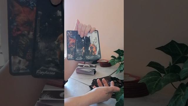 Мариуполь расклад гадание онлайн таро смотреть онлайн