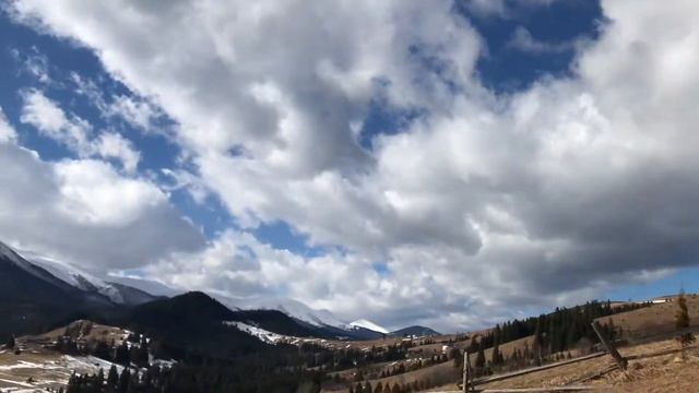 Дземброня 0,50 га ( 500 у.о/ 0,01га.)