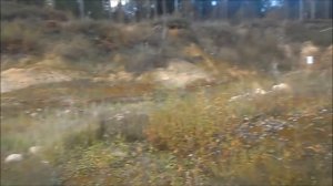 Как стреляет СКС на 300 метров!!! Или БПЗ VS КСПЗ.