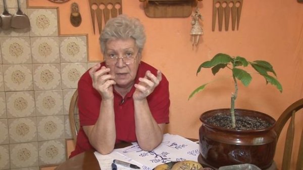 Голова садовая - Черенкование огурцов