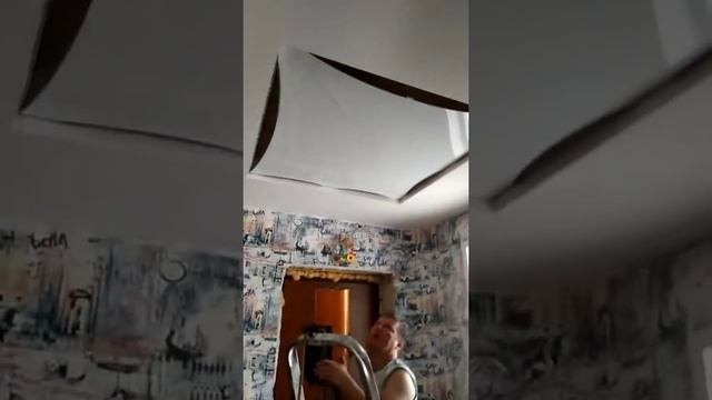 Потолок натяжной смотреть онлайн