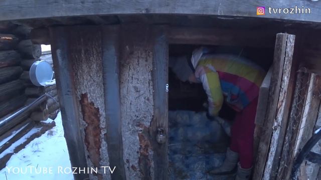 ОТКУДА К НАМ ПРИЕХАЛИ ЗАЙЦЫ смотреть онлайн