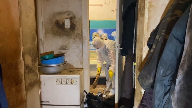 ВНУКИ БЬЮТ БАБУШКУ. ЗА ЧТО? УБОРКА ПРОДОЛЖАЕТСЯ. смотреть онлайн