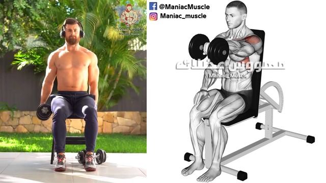 ? Dumbbell Shoulder Exercises Workout [ Massive ] © смотреть онлайн