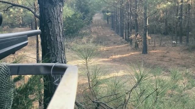 Deer Hunt. 350 Legend смотреть онлайн
