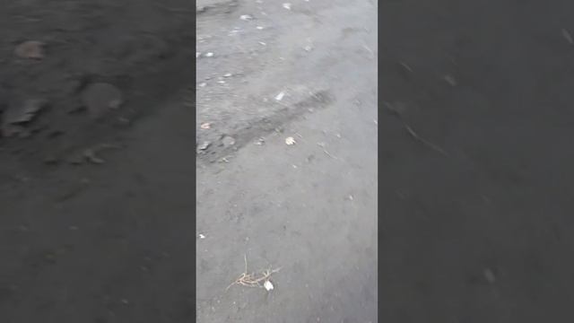 ОДЕССА РЕАЛЬНАЯ, БЕЗ УКРАШЕНИЙ смотреть онлайн