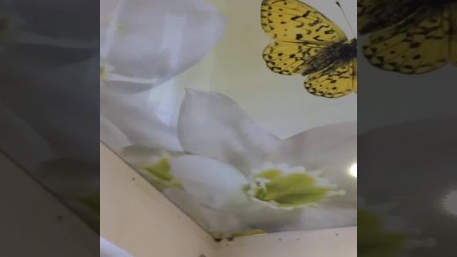 Натяжной потолок с фотопечатью на глянцевом материале смотреть онлайн