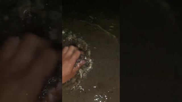 Отпускайте голавлей! смотреть онлайн