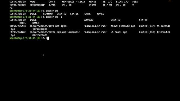 Docker networking | What is Docker and how it works ? | Docker tutorial for Beginners | docker hub