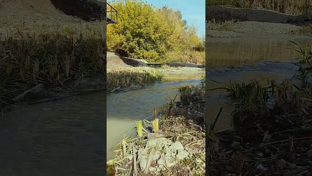 Наша местная речка, воняет тухлыми яйцами и цвет у нее странный! г. Самара смотреть онлайн