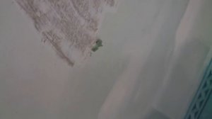 Как снять побелку - штукатурку со стены. Продолжение, ремонт.