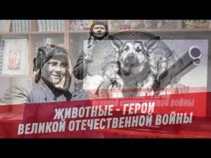 Животные - герои Великой Отечественной войны