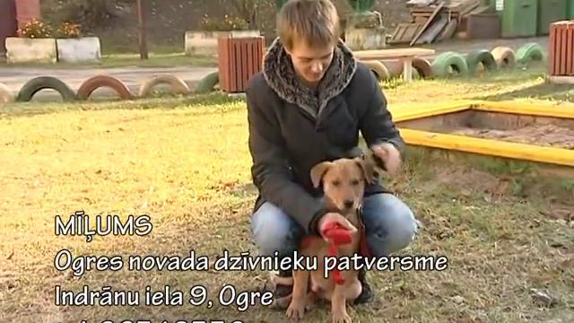 S02E09 Ķepa uz sirds. 29.10.2011 смотреть онлайн