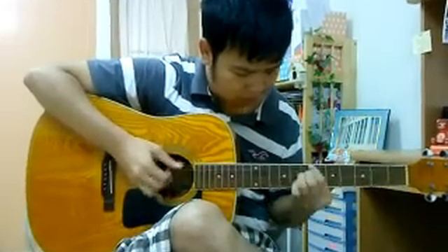 Washburn D11 Ebon Coast Cover