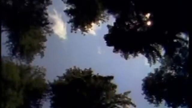 природа смотреть онлайн