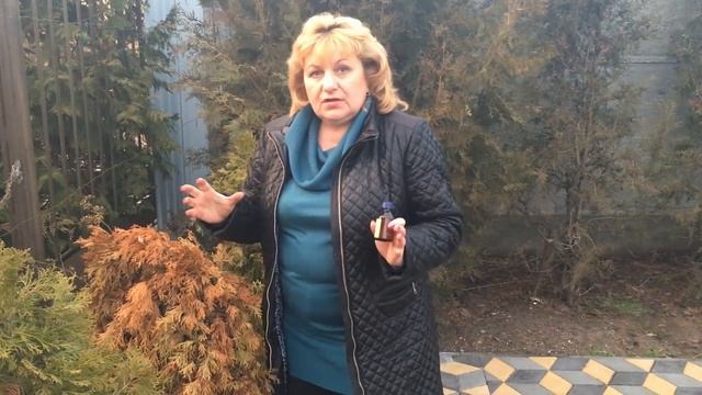 Хвойные и хрущи !!! смотреть онлайн