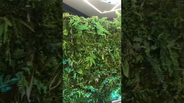 Фотозона Лес