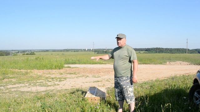 Первая тренировка молодых спортивных голубей.Видео The first training of young sports pigeons.Video смотреть онлайн