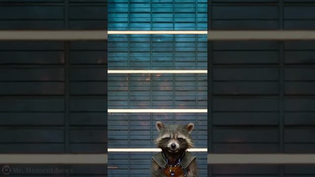 ? ПАНДА, КРЫСА ИЛИ ЕНОТ? || НЕОБЫЧНЫЕ ЖИВОТНЫЕ MCU #shorts смотреть онлайн