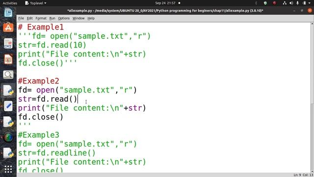 11.3.1 Python file read example смотреть онлайн