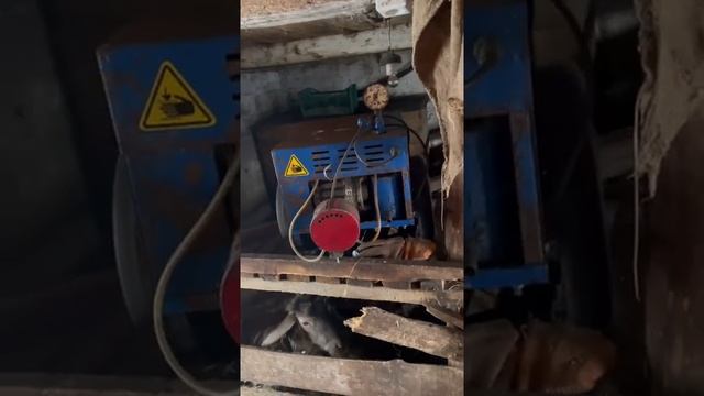 Как назовём телёнка? смотреть онлайн